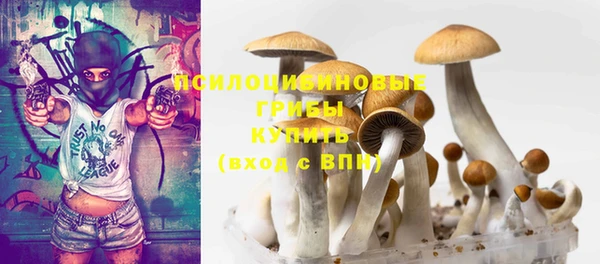 спайс Пересвет